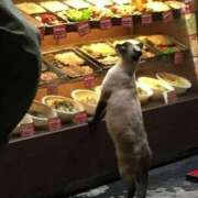 ヒメ日記 2025/04/04 12:05 投稿 体験なな ミセスコレクション