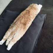 ヒメ日記 2025/04/05 01:43 投稿 体験なな ミセスコレクション