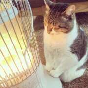 ヒメ日記 2025/04/05 08:03 投稿 体験なな ミセスコレクション