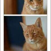 ヒメ日記 2025/04/05 12:05 投稿 体験なな ミセスコレクション