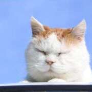 ヒメ日記 2025/04/05 21:23 投稿 体験なな ミセスコレクション