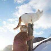 ヒメ日記 2025/04/07 08:13 投稿 体験なな ミセスコレクション