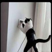 ヒメ日記 2025/04/08 12:05 投稿 体験なな ミセスコレクション