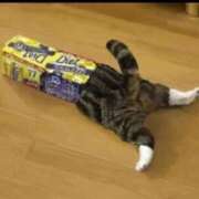 ヒメ日記 2025/04/09 20:24 投稿 体験なな ミセスコレクション