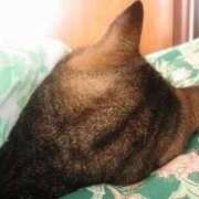 ヒメ日記 2025/04/10 01:13 投稿 体験なな ミセスコレクション