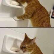 ヒメ日記 2025/04/10 12:13 投稿 体験なな ミセスコレクション