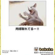 ヒメ日記 2025/04/10 20:03 投稿 体験なな ミセスコレクション