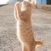 ヒメ日記 2025/04/10 22:43 投稿 体験なな ミセスコレクション