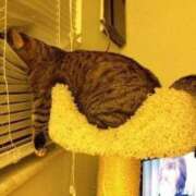 ヒメ日記 2025/04/11 02:23 投稿 体験なな ミセスコレクション