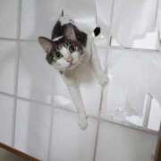 ヒメ日記 2025/04/11 22:53 投稿 体験なな ミセスコレクション