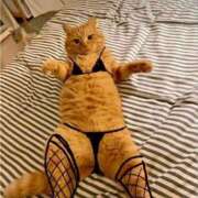 ヒメ日記 2025/04/12 00:33 投稿 体験なな ミセスコレクション