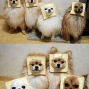 ヒメ日記 2025/04/12 00:53 投稿 体験なな ミセスコレクション