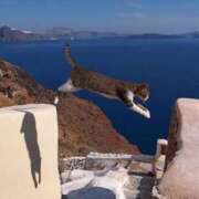 ヒメ日記 2025/04/12 08:13 投稿 体験なな ミセスコレクション