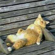 ヒメ日記 2025/04/12 19:43 投稿 体験なな ミセスコレクション