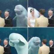 ヒメ日記 2025/04/13 01:13 投稿 体験なな ミセスコレクション