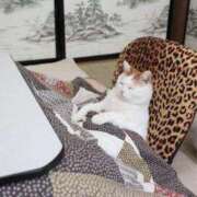 ヒメ日記 2025/04/13 01:43 投稿 体験なな ミセスコレクション