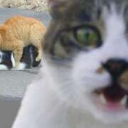 ヒメ日記 2025/04/13 08:13 投稿 体験なな ミセスコレクション