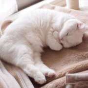 ヒメ日記 2025/04/13 18:13 投稿 体験なな ミセスコレクション