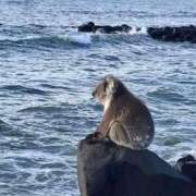 ヒメ日記 2025/04/16 23:03 投稿 体験なな ミセスコレクション