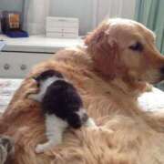 ヒメ日記 2025/04/17 18:18 投稿 体験なな ミセスコレクション