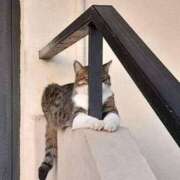 ヒメ日記 2025/04/18 08:13 投稿 体験なな ミセスコレクション