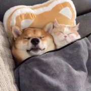 ヒメ日記 2025/04/18 12:04 投稿 体験なな ミセスコレクション