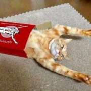 ヒメ日記 2025/04/19 01:13 投稿 体験なな ミセスコレクション