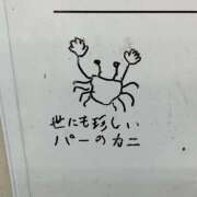 ヒメ日記 2025/04/19 01:53 投稿 体験なな ミセスコレクション