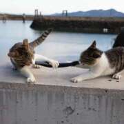 ヒメ日記 2025/04/19 12:09 投稿 体験なな ミセスコレクション