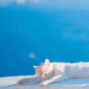 ヒメ日記 2025/04/20 08:13 投稿 体験なな ミセスコレクション