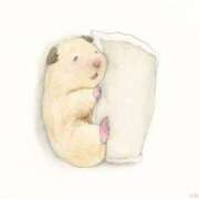 ヒメ日記 2025/04/22 20:03 投稿 体験なな ミセスコレクション