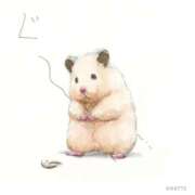 ヒメ日記 2025/04/23 02:03 投稿 体験なな ミセスコレクション