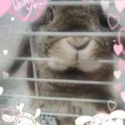 ヒメ日記 2025/04/24 01:00 投稿 体験なな ミセスコレクション