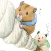 ヒメ日記 2025/04/24 08:13 投稿 体験なな ミセスコレクション