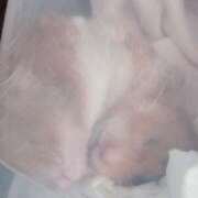 ヒメ日記 2025/04/24 18:03 投稿 体験なな ミセスコレクション