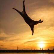 ヒメ日記 2025/04/25 08:13 投稿 体験なな ミセスコレクション