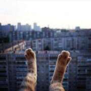 ヒメ日記 2025/04/25 20:43 投稿 体験なな ミセスコレクション