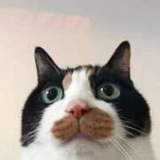 ヒメ日記 2025/04/25 20:53 投稿 体験なな ミセスコレクション