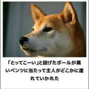 ヒメ日記 2025/04/26 01:13 投稿 体験なな ミセスコレクション