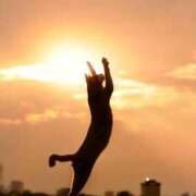 ヒメ日記 2025/04/26 08:13 投稿 体験なな ミセスコレクション