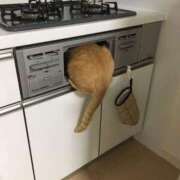 ヒメ日記 2025/04/27 00:53 投稿 体験なな ミセスコレクション