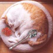 ヒメ日記 2025/04/27 01:13 投稿 体験なな ミセスコレクション