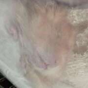 ヒメ日記 2025/04/27 08:03 投稿 体験なな ミセスコレクション