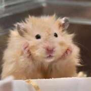 ヒメ日記 2025/04/28 08:03 投稿 体験なな ミセスコレクション