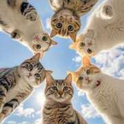 ヒメ日記 2025/04/29 08:13 投稿 体験なな ミセスコレクション