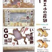 ヒメ日記 2025/04/29 12:23 投稿 体験なな ミセスコレクション