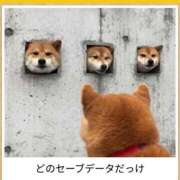 ヒメ日記 2025/04/30 02:23 投稿 体験なな ミセスコレクション