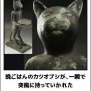 ヒメ日記 2025/04/30 12:05 投稿 体験なな ミセスコレクション