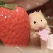 ヒメ日記 2025/04/30 22:23 投稿 体験なな ミセスコレクション