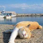 ヒメ日記 2025/04/30 22:45 投稿 体験なな ミセスコレクション